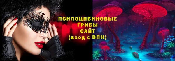 молекула духа Тайга