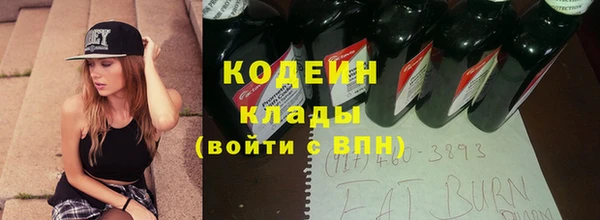 молекула духа Тайга