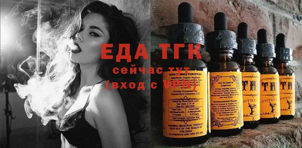 молекула духа Тайга