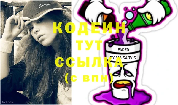 молекула духа Тайга