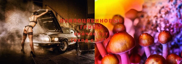 герыч Липки